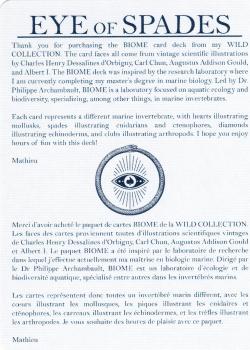 Extra One additional Image